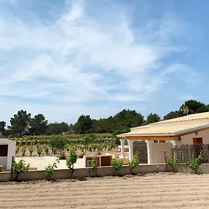 Casa vacanze Aptos Rurales Pep De Sa Barda - Vinedos Y Tranquilidad, San Francisco Javier